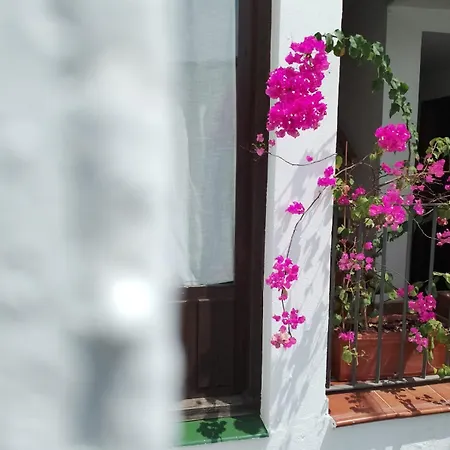 Claustro Casco Historico شقة *