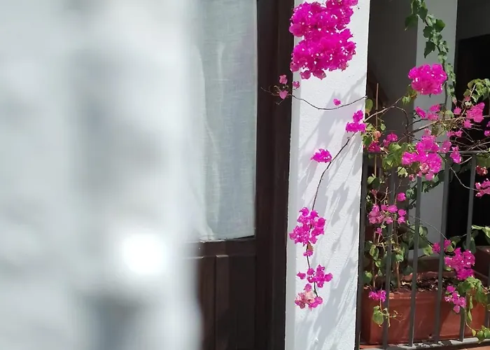 Claustro Casco Histórico Apartamento *